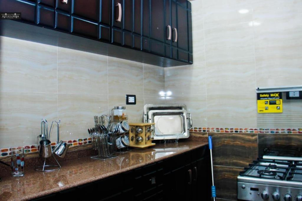 Aswan Plaza - Share Apartment Екстериор снимка